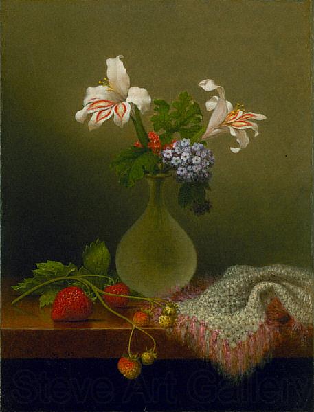 Martin Johnson Heade A Vase of Corn Lilies and Heliotrope Germany oil painting art